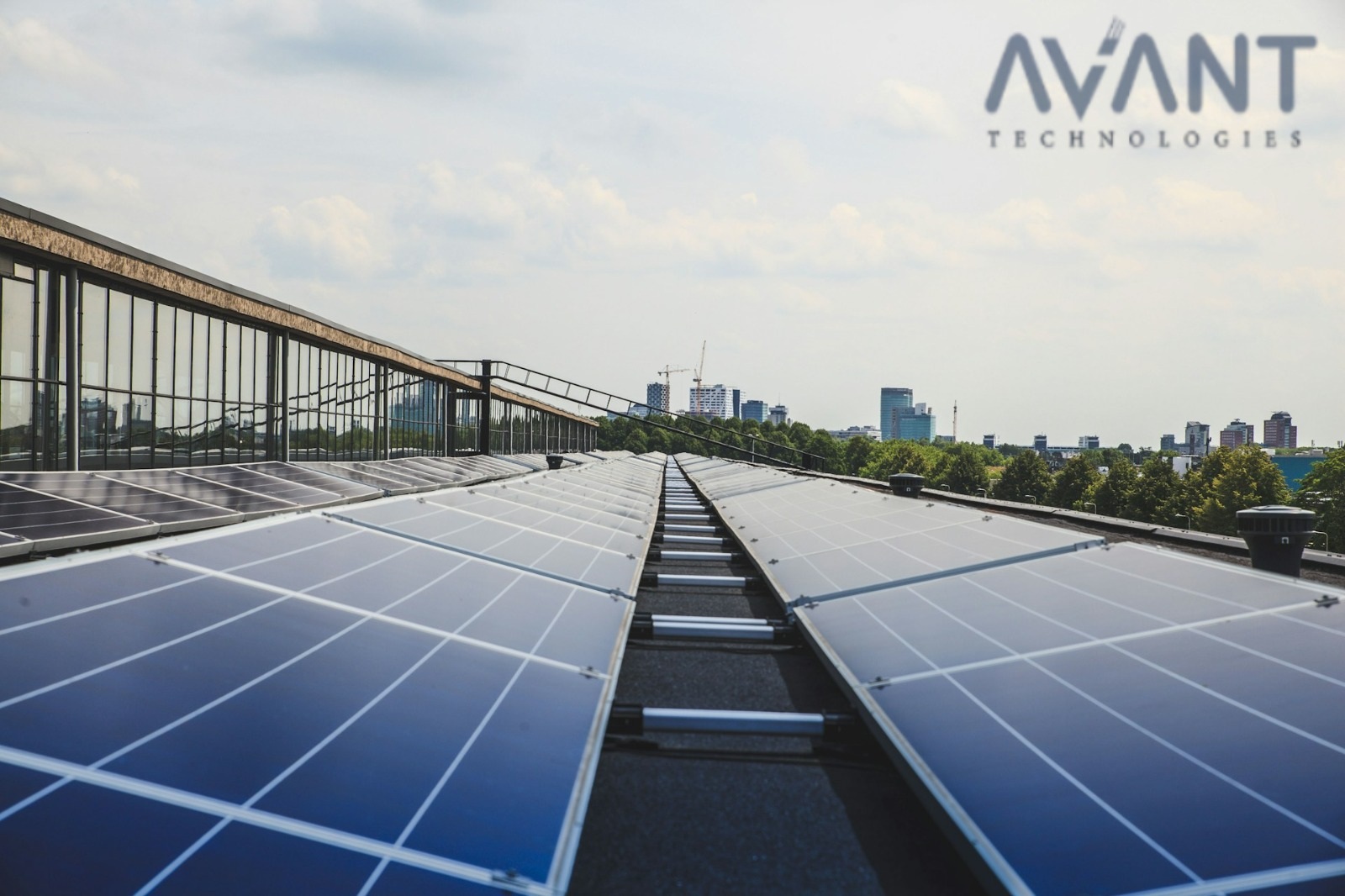 Rooftop Solar Trend Setters